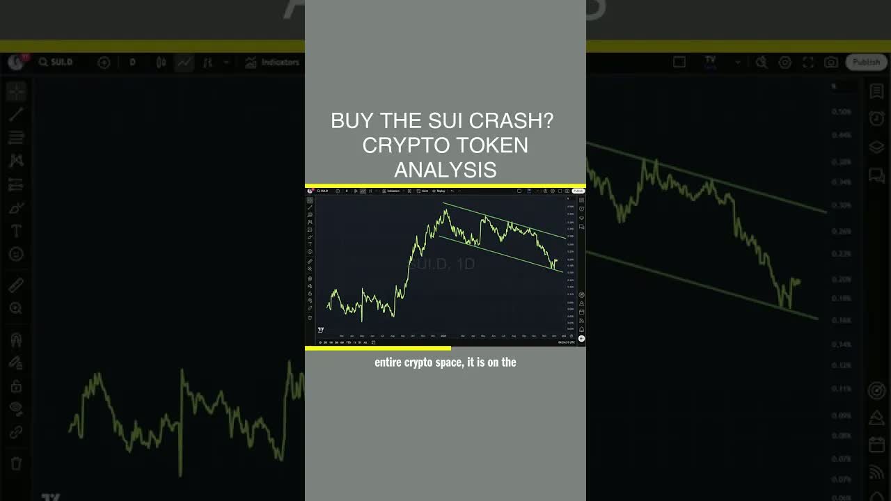 Buy The Sui Crash? 🤔 Crypto Token Analysis