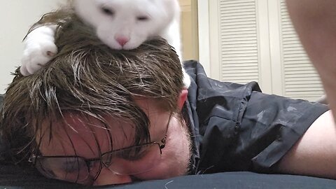 shaggy climbing on my head.