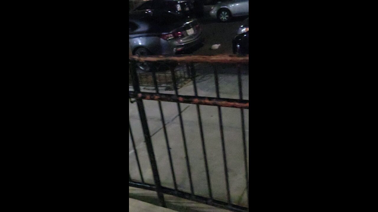 At 2:32 am, she ask me how come I stayed, this was after the NY Predators Dept used their sirens