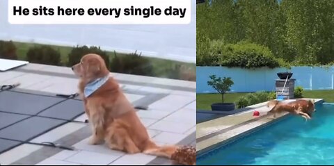 He Waited All Year for THIS Moment 🐾💦