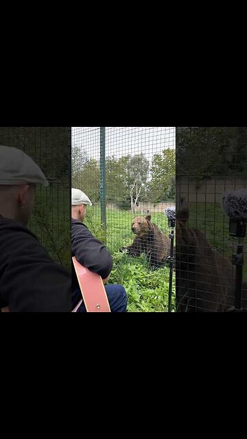 Meeting Martha was so special - Merci @RefugeArche53200 pour l’accueil