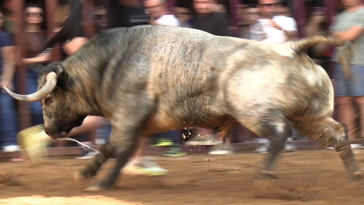 2025 05 18 ALMAZORA SANTA QUITERIA
