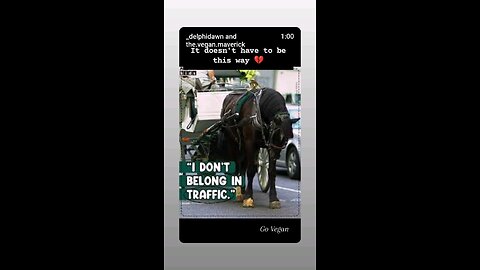Animal Transport -Torture hidden in plain sight.