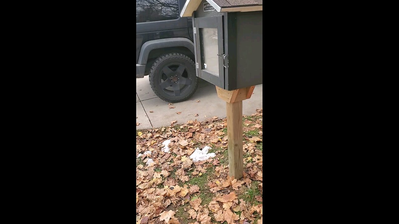 A Neat Dark Grey Fee Little Library