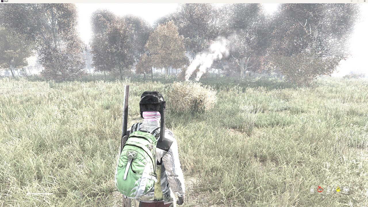 DAYZ