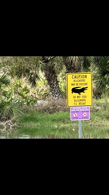 MAGA Vice 🐊 Alcatraz