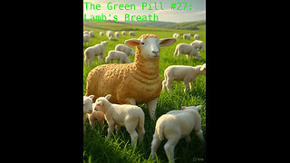 The Green Pill #27: Lamb's Breath