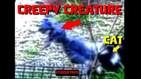 Super Creepy Ghostly Creature And A Cat - The Interdimensional Battle!