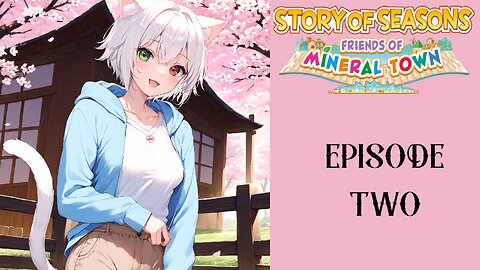 Story of Seasons Friends of Mineral Town S3 - 02
