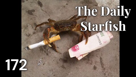 The Daily Starfish #172 #memes #2025