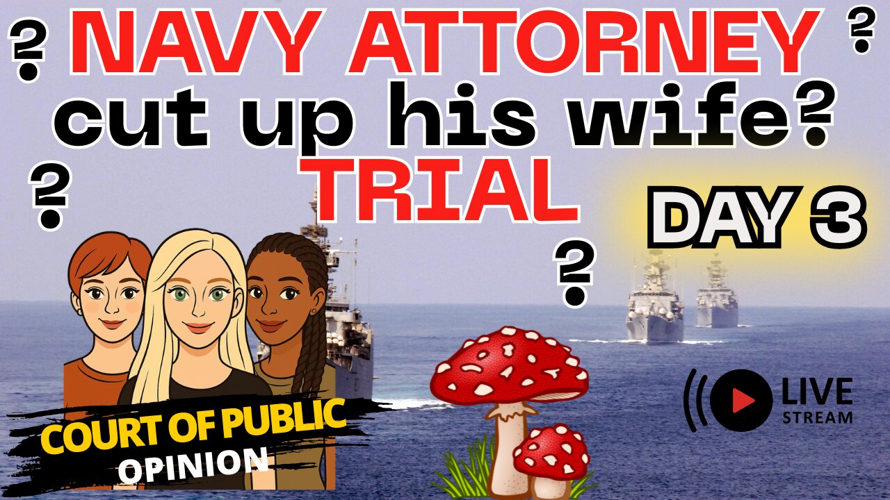 The trial of Nicholas Kassotis | DAY 3
