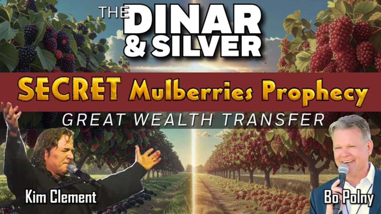 Bo Polny Critical December Update 12-02-2025