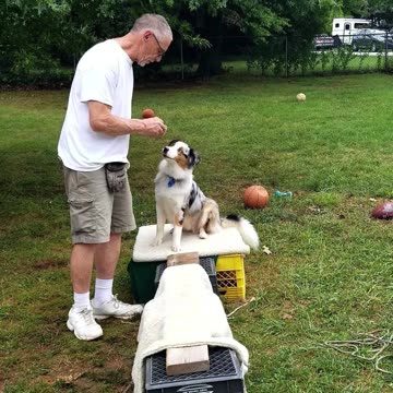 Platform & Balance Beam sections 3