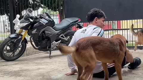 Guy Trips on Bucket While Washing Motorcycle