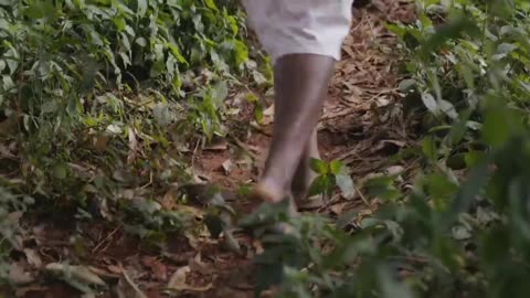Der Film (Climate - The Movie)
