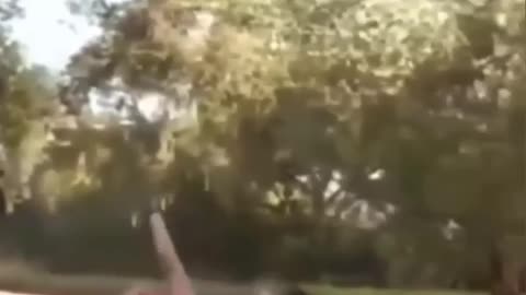 A nők és a férfiak közötti lényeges különbség