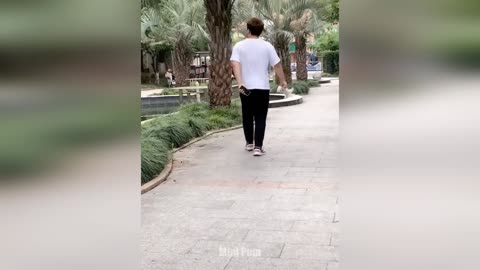 Funny moments with animals