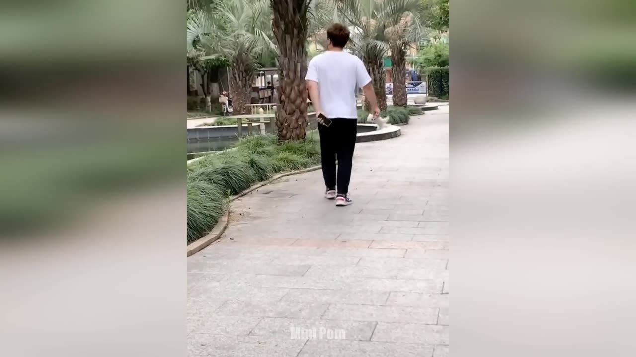 Funny moments with animals
