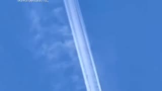 Rothschild BlackRock WEF Power.