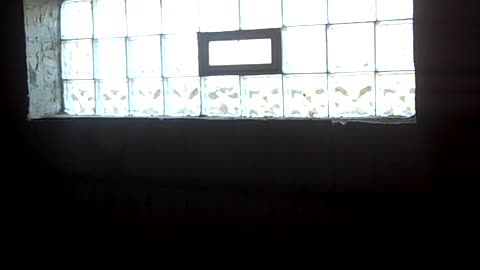 Let_s inspect Dans house THE SHEA SHOW