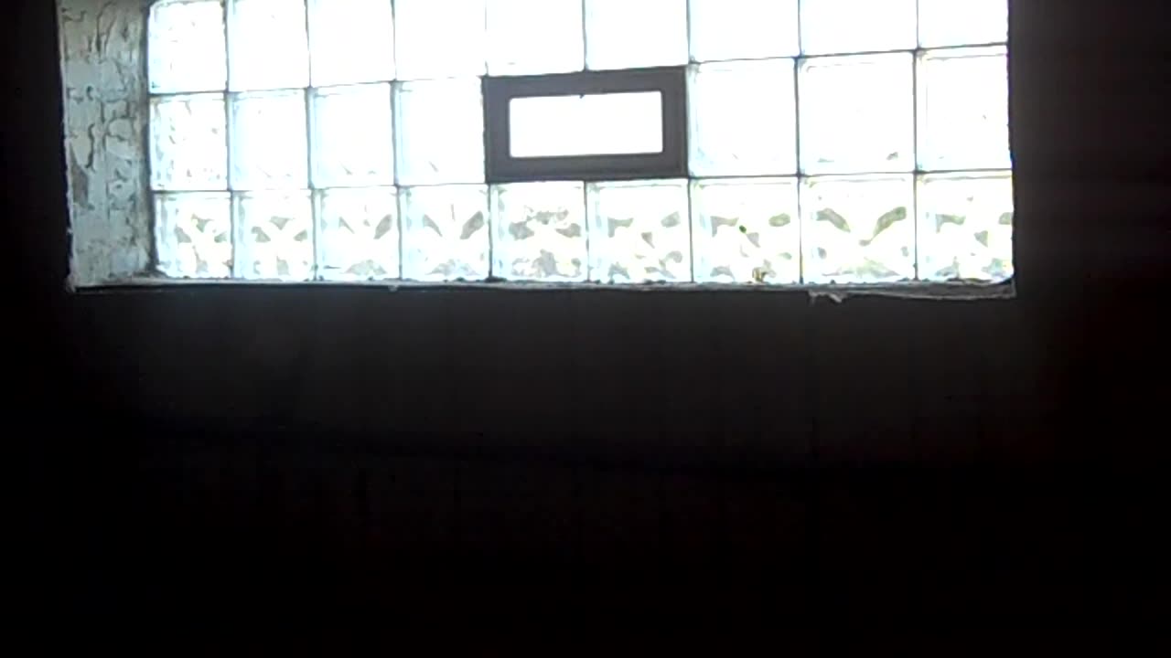 Let_s inspect Dans house THE SHEA SHOW