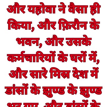 “मच्छरों की पहली विपत्ति” निर्गमन 8:24 #shorts #youtube #ytshorts #jesuschrist #love #youtubeshorts