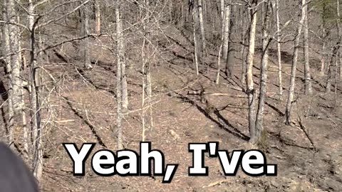 On the Hike