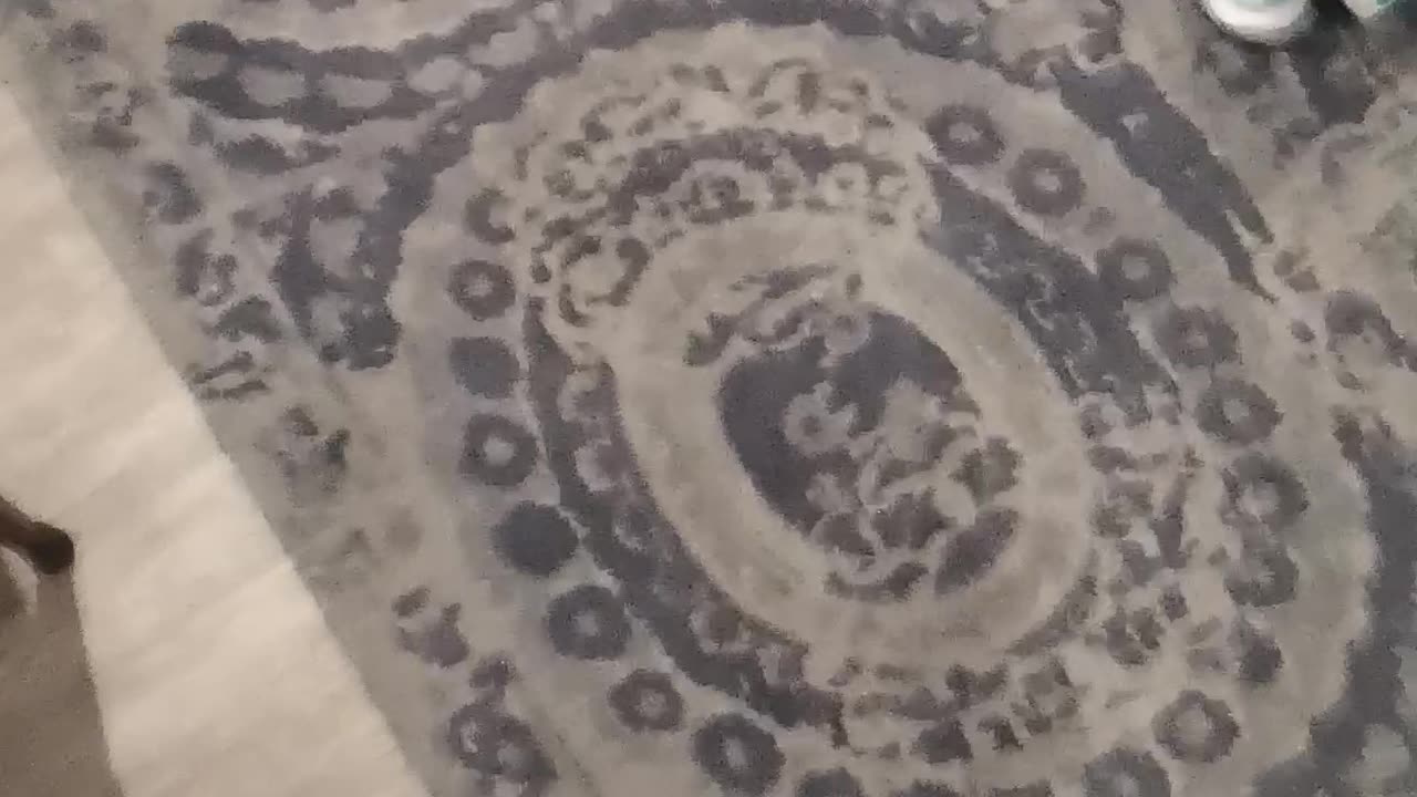 Indisputable proof that the Samantha Munoz account isn't the real Samantha READ DESCRIPTION