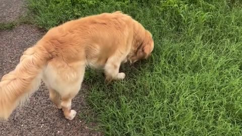 I Show You, but Don't Judge Me