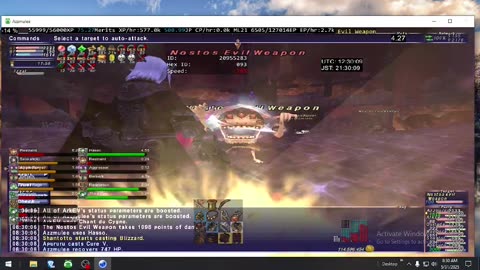 Playing Final Fantasy XI Online