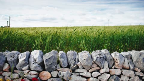 Mending a Wall - Robert Frost - Song