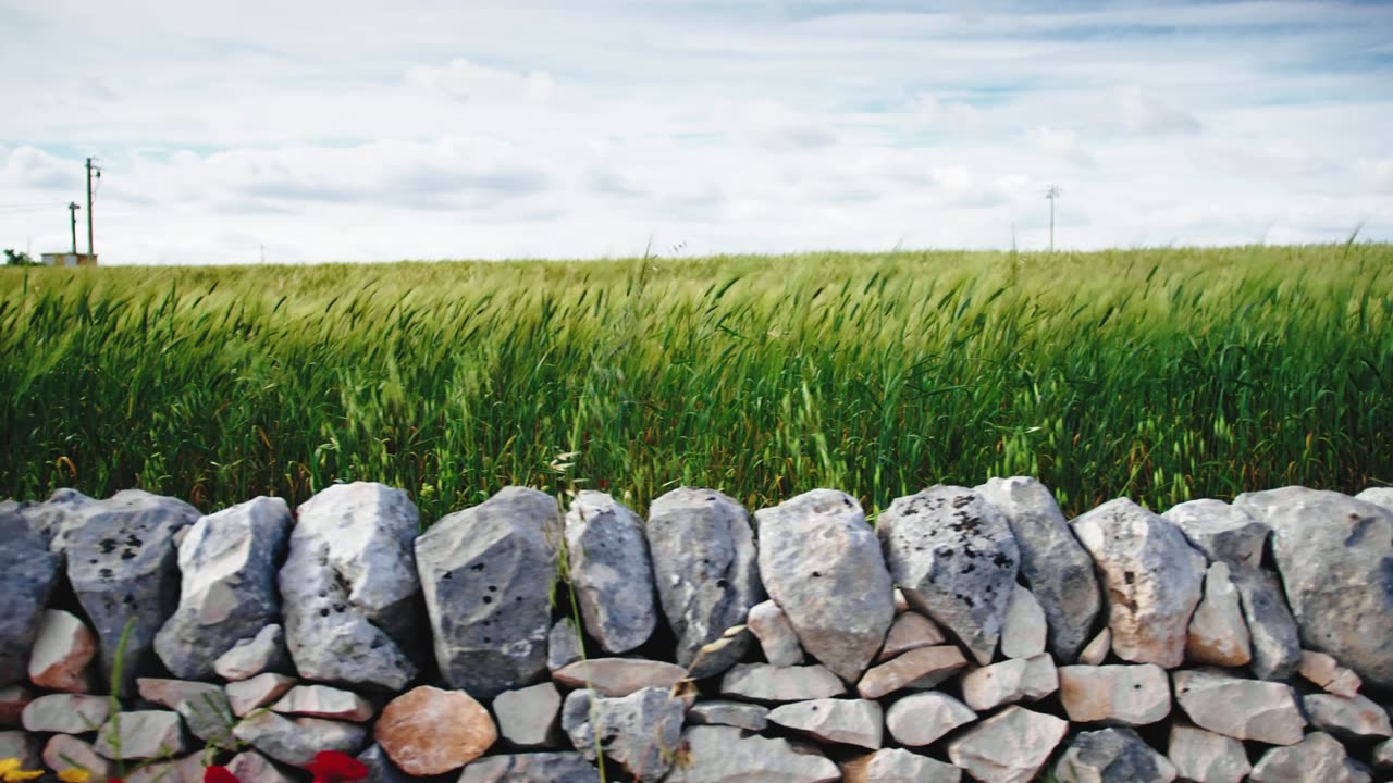 Mending a Wall - Robert Frost - Song