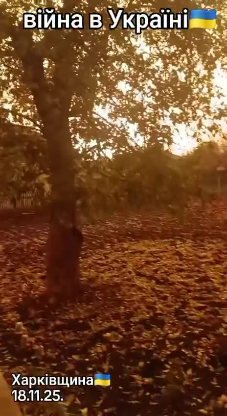 Yesterday Kharkiv after the visit of Iskanders.