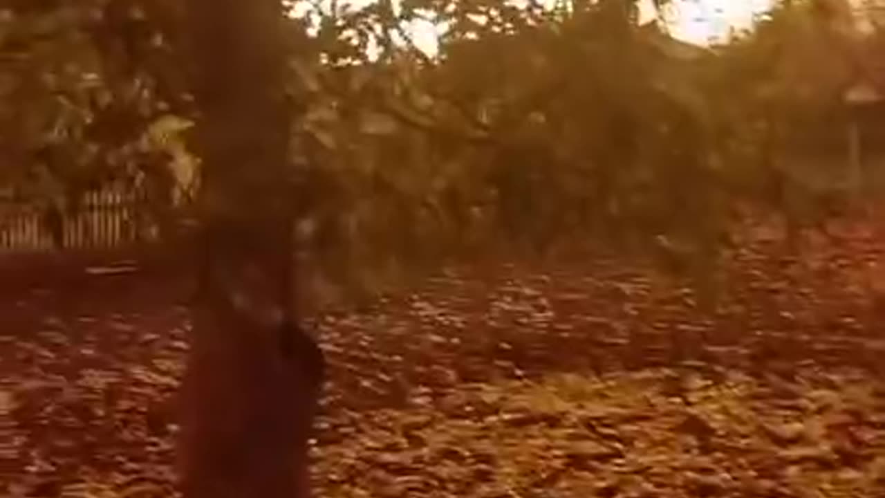 Yesterday Kharkiv after the visit of Iskanders.