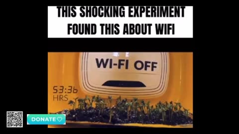 HEMP BLOCKS EMF EXPERIMENT FOUND ABOUT WIFI