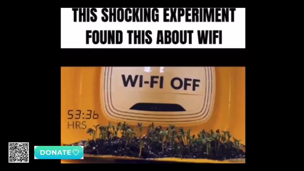 HEMP BLOCKS EMF EXPERIMENT FOUND ABOUT WIFI
