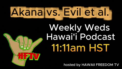 ‼️⚠️ HAWAII - Elections Commission Meeting Corruption ⚠️ ‼️