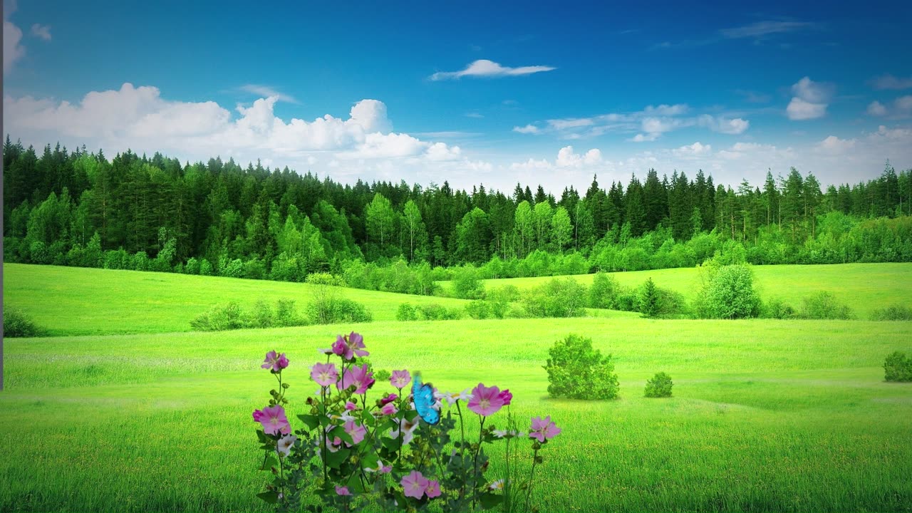 Ken Masters Edition-Low Tier God Stream