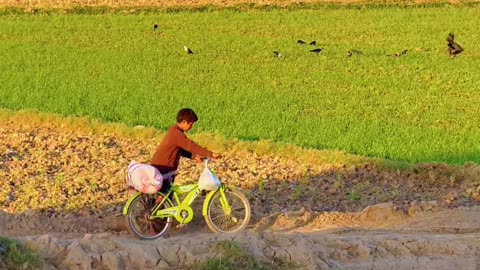 Heart Touching Video From My Village ❤ #maxrecords #villagelife #larkana #sindh #pakistan