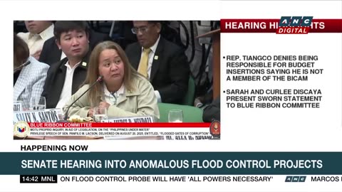 Estrada questions Wawao Builders, Syms Construction on license scheme _ ANC
