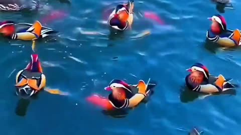 Nature View in River 🌄 | Peaceful Nature Sounds #shorts