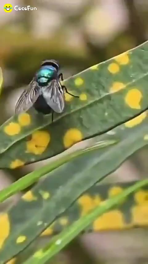 Because we're men!!!!