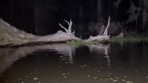 😱🤯 I'm Still Wondering How This Happened... | TheHauntingHour