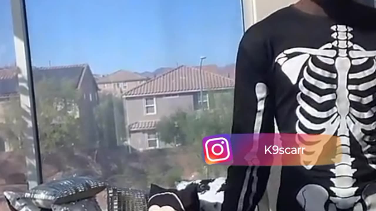 K9 slanging yick all across the screen