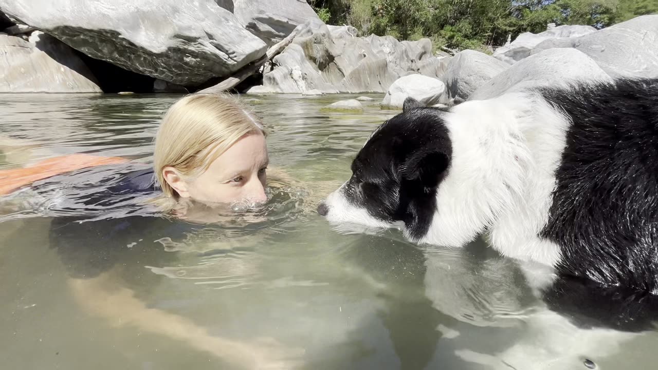 Border Collie Making Bubbles With His Owner