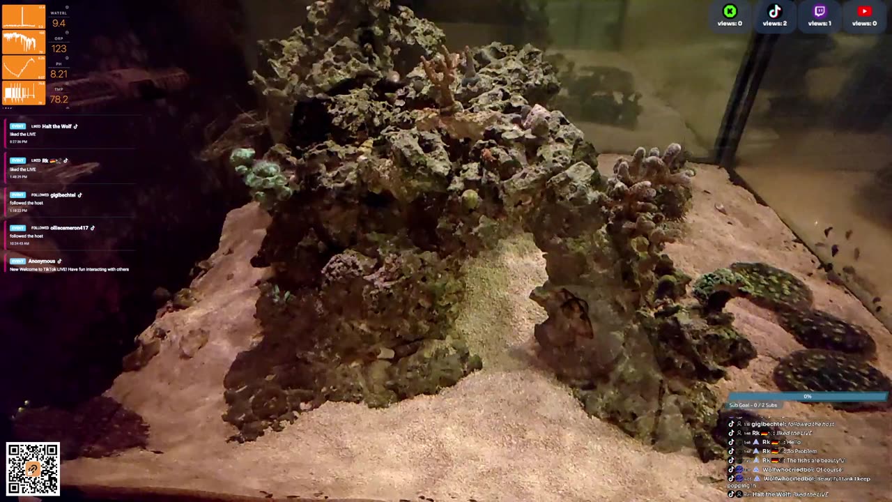 24/7 Real Live Reef Stream