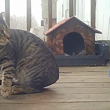 EA S147 - Big Stretch