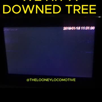 We HIT A Downed TREE Going 65MPH #shorts #trucking #dashcam #accident