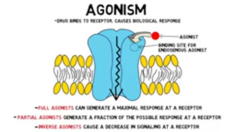 2-Minute Neuroscience Agonism, Antagonism, & Allosteric Modulation
