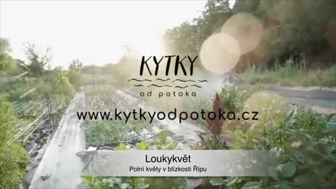 Kytky pro zdraví